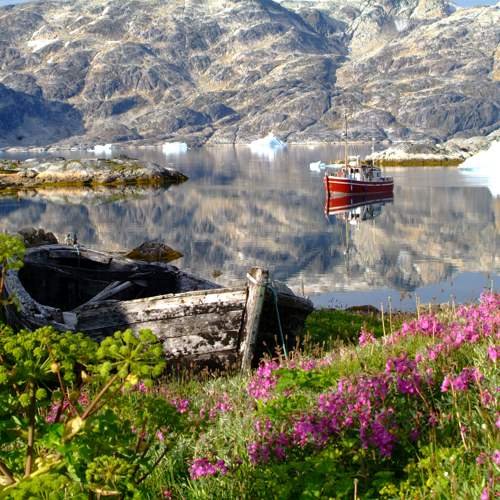 Ostgrönland © Peter Ellis