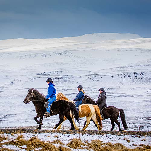 horse-riding-©audunn-nielsson-visit-north-iceland