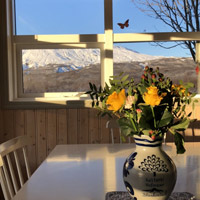 Ferienhaus Riversound Blick nach draussen