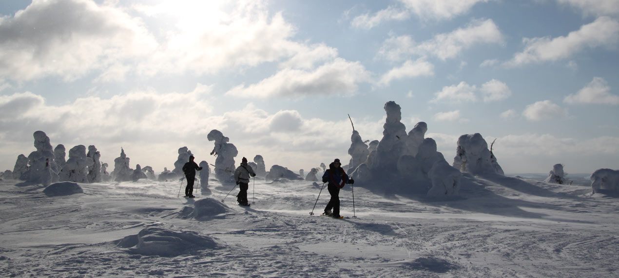 Island ProTravel Bild